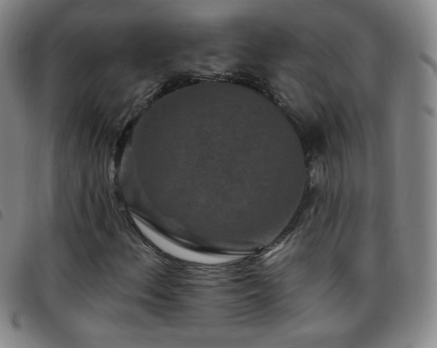 X0000097851156200803141211