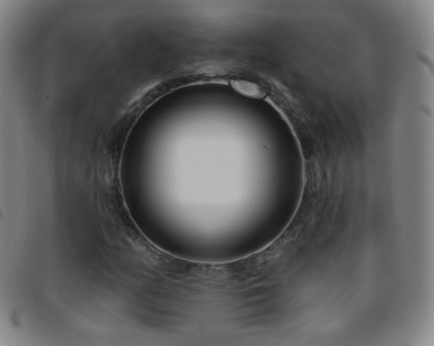 X0000097851158200803141211