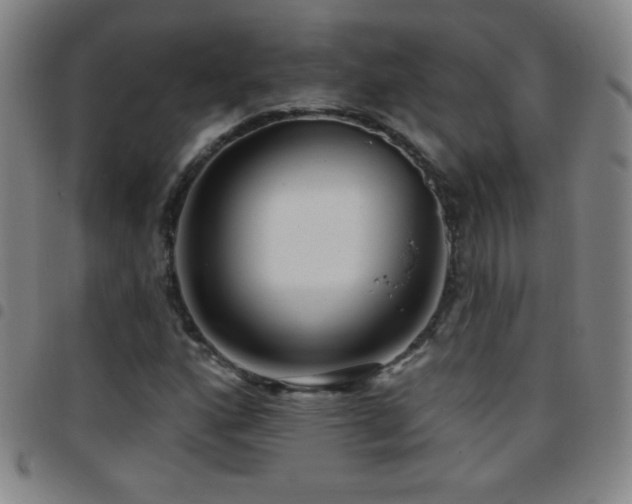 X0000097851160200803141211