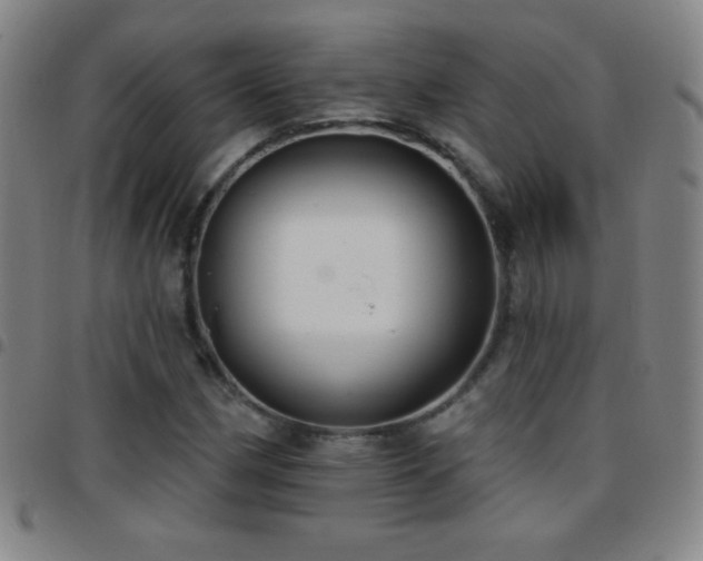X0000097851162200803141211