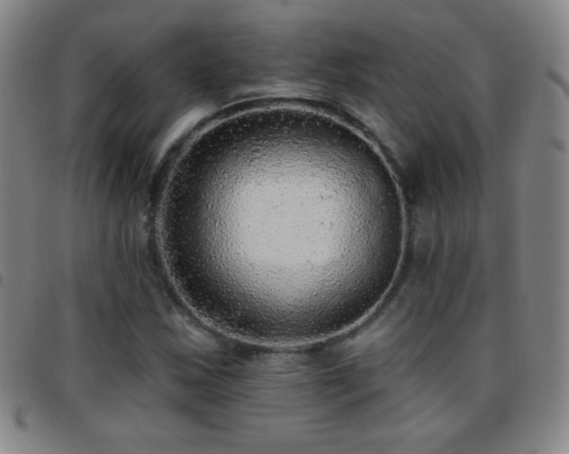 X0000097851163200803141211