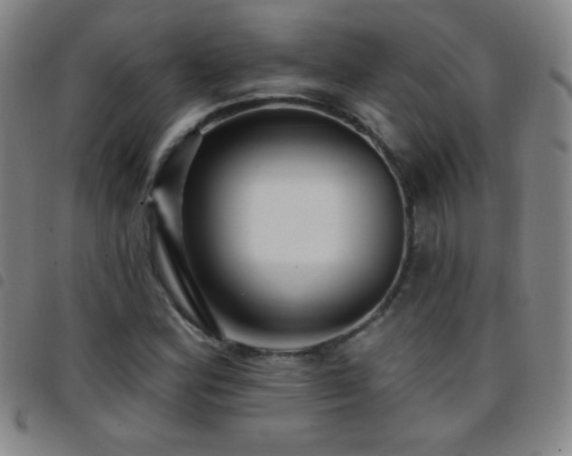 X0000097851164200803141211