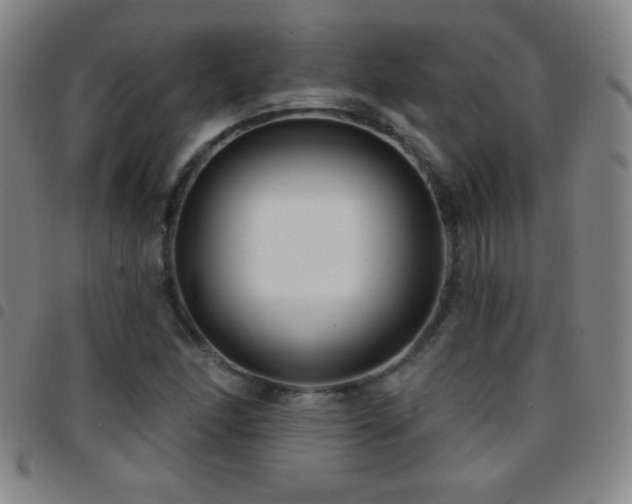 X0000097851166200803141211