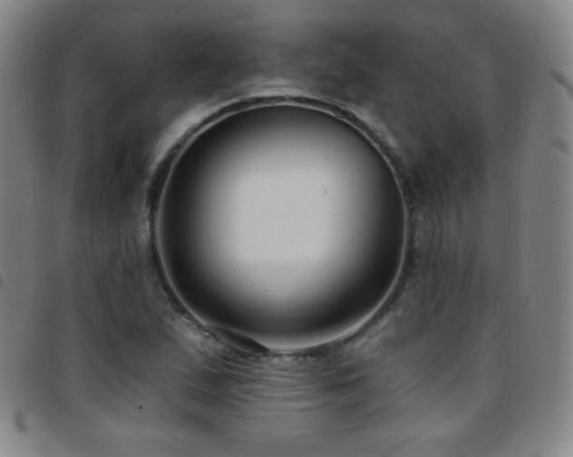 X0000097851167200803141211