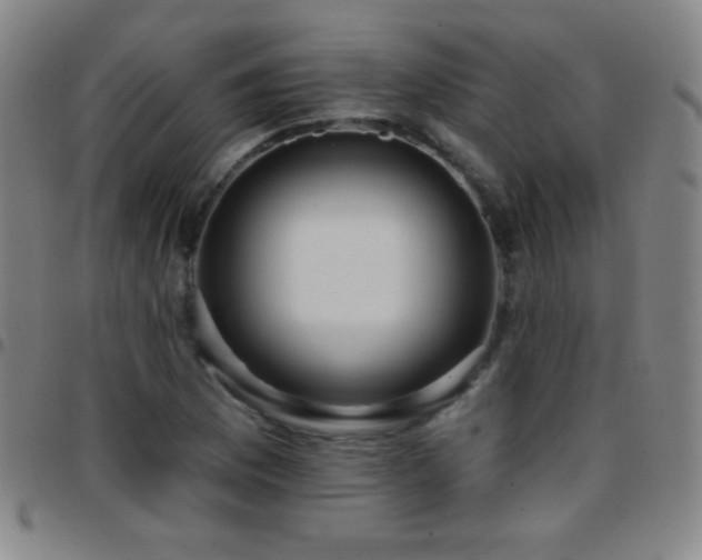 X0000097851169200803141211