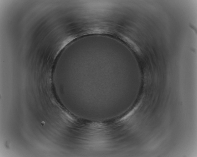 X0000097851170200803141211
