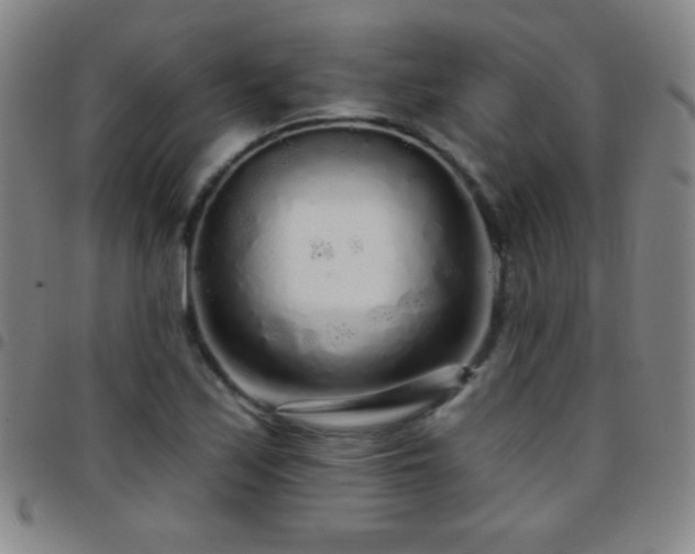 X0000097851171200803141211