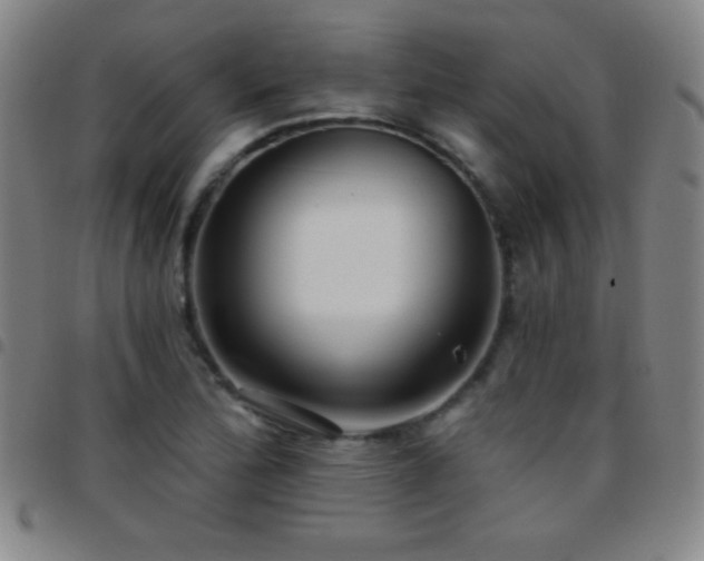 X0000097851172200803141211