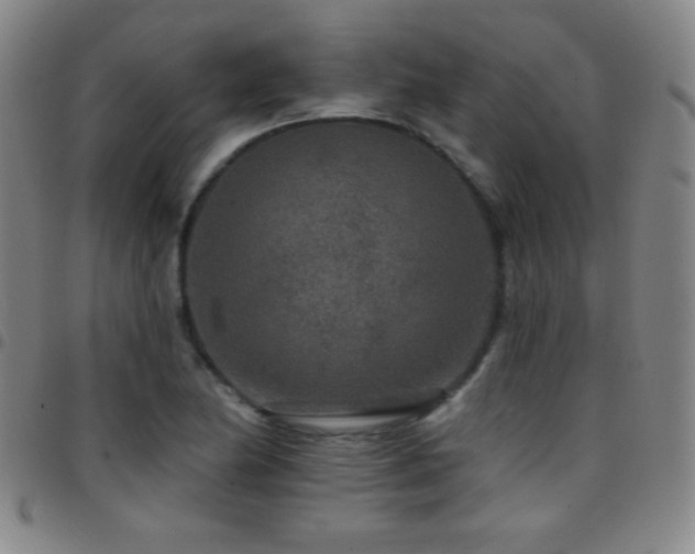X0000097851174200803141211