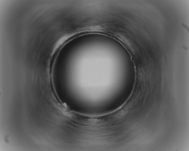 X0000097851176200803141211