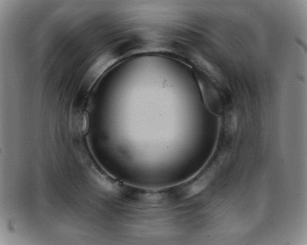 X0000097851177200803141211