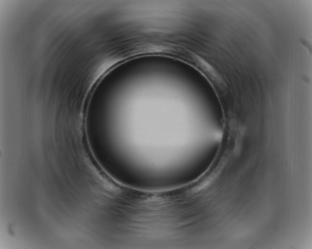 X0000097851178200803141211