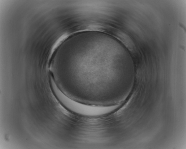 X0000097851180200803141211