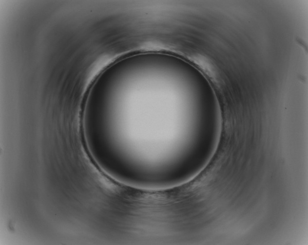 X0000097851183200803141211