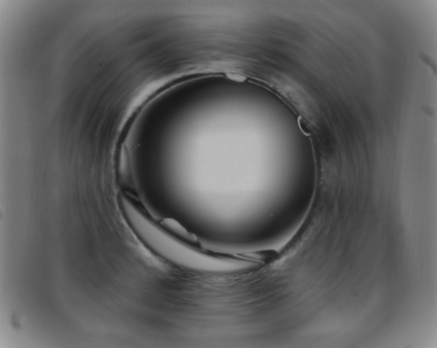 X0000097851184200803141211