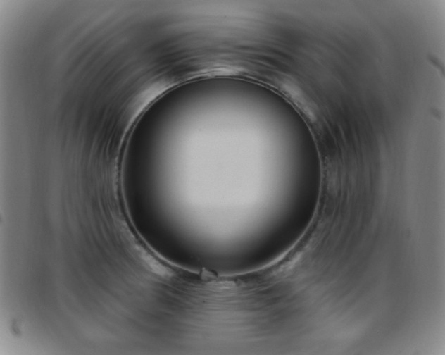 X0000097851186200803141211