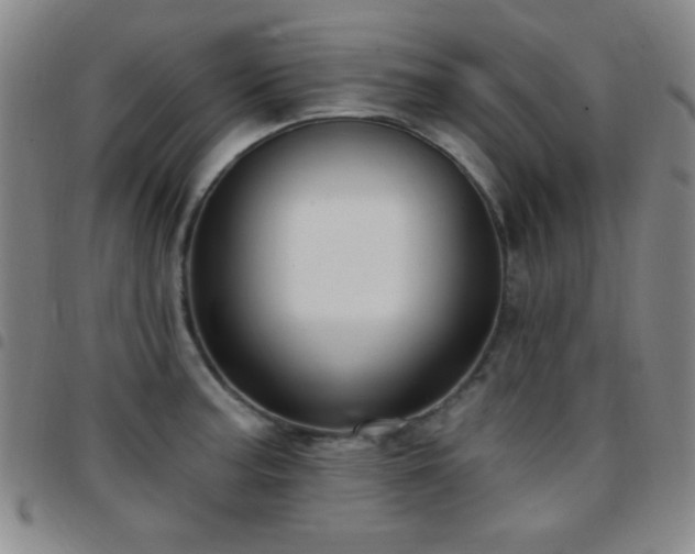 X0000097851187200803141211