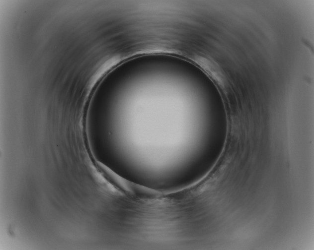 X0000097851189200803141211
