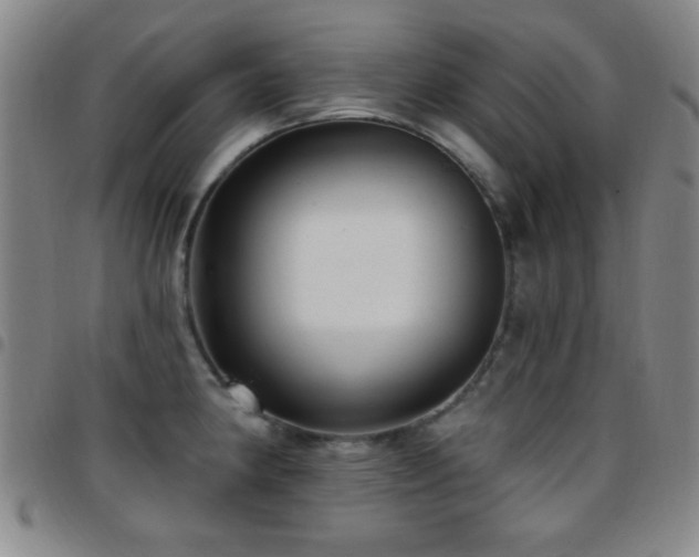 X0000097851190200803141211