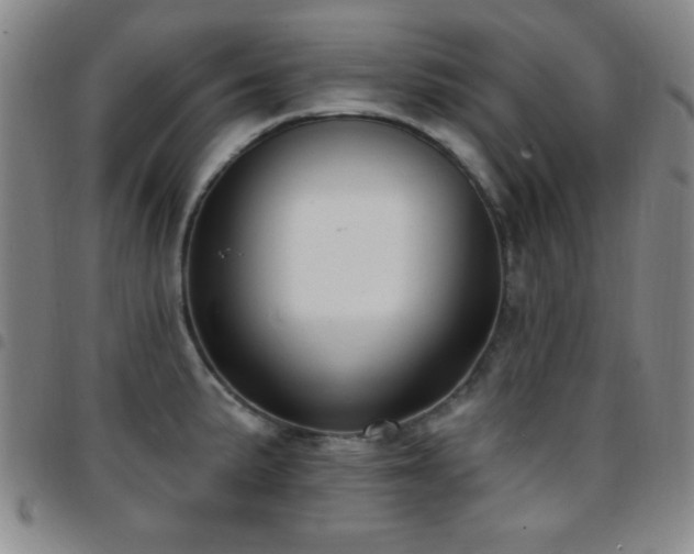 X0000097851191200803141210