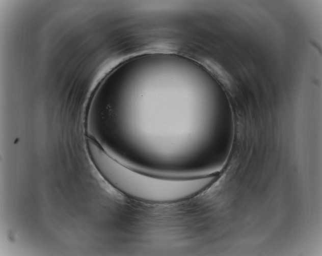 X0000097851192200803141210