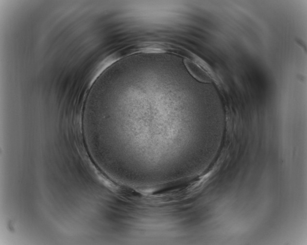 X0000097851194200803141210