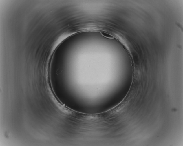 X0000097851195200803141210