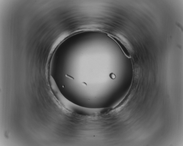 X0000097851196200803141210