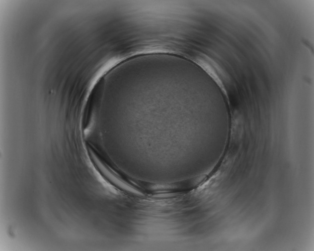 X0000097851197200803141210