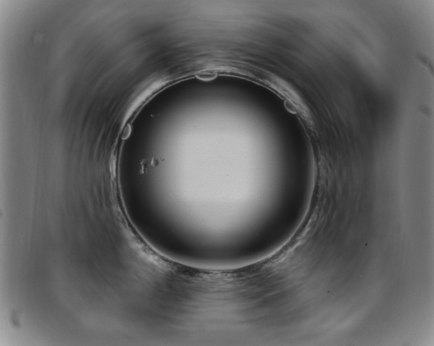 X0000097851198200803141210