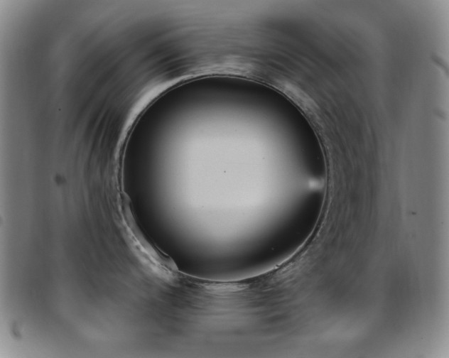 X0000097851200200803141210