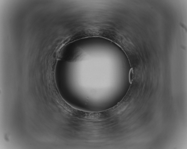 X0000097851201200803141210