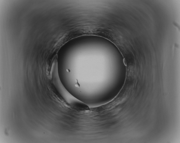 X0000097851202200803141210