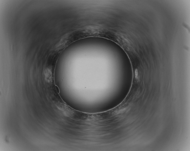 X0000097851203200803141210