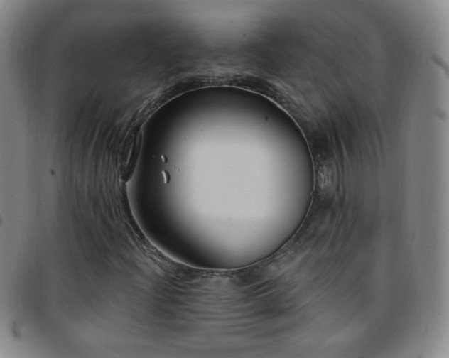 X0000097851204200803141210
