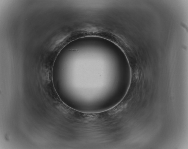 X0000097851205200803141210