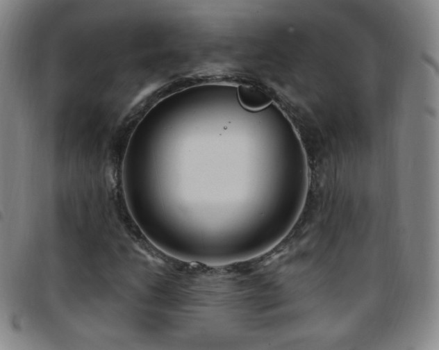 X0000097851206200803141210