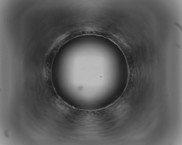 X0000097851207200803141210
