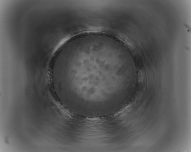 X0000097851208200803141210