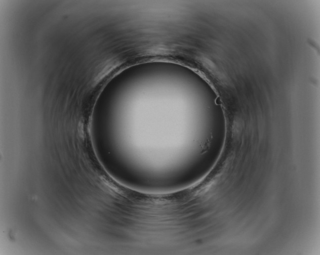 X0000097851209200803141210