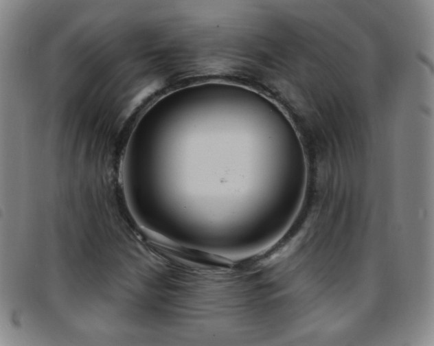 X0000097851210200803141210