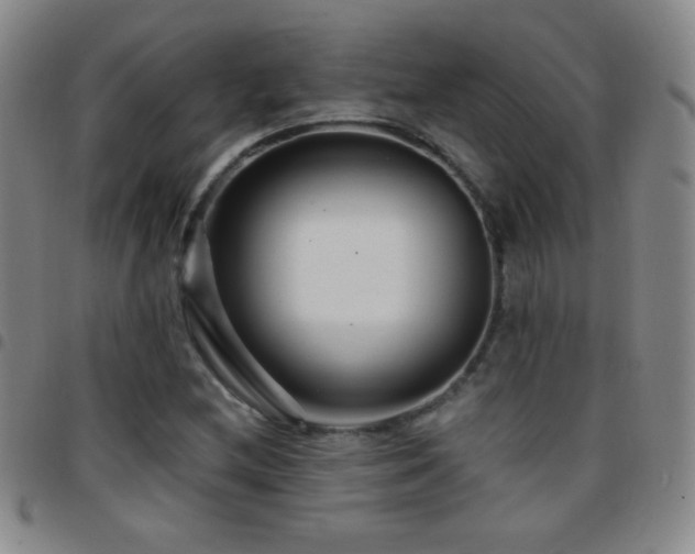 X0000097851212200803141210
