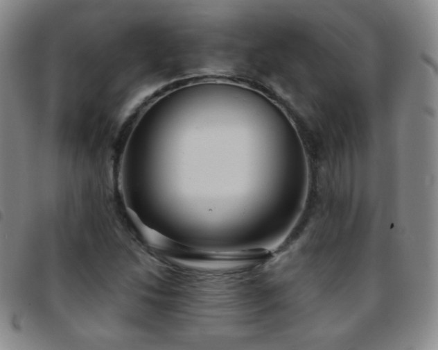 X0000097851214200803141210