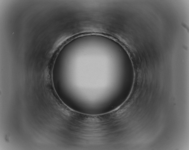X0000097851215200803141210