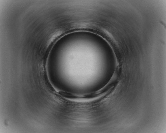 X0000097851218200803141210