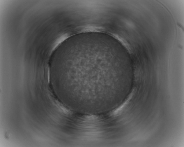 X0000097851219200803141210