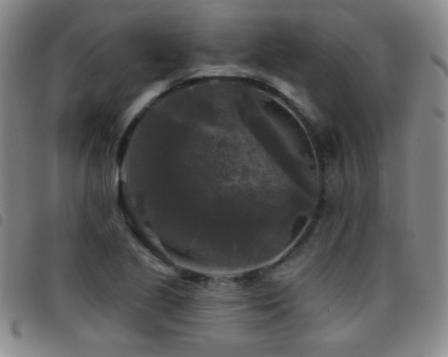 X0000097851221200803141210