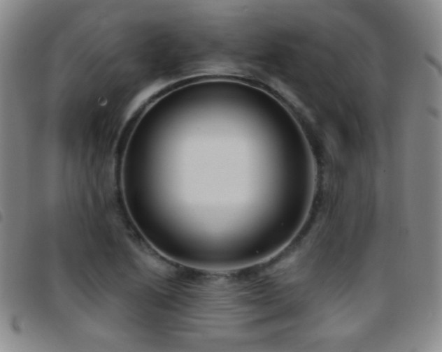 X0000097851222200803141210