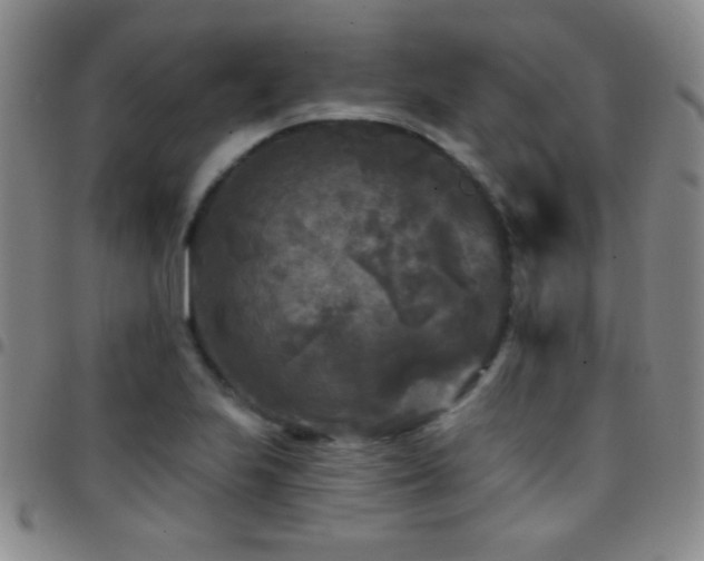 X0000097851223200803141210