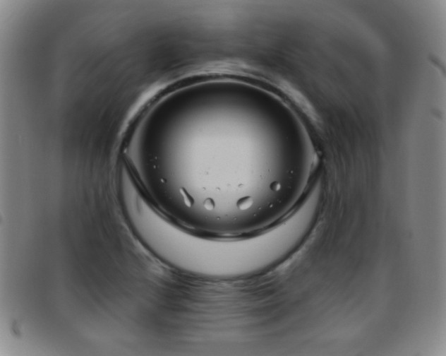 X0000097851224200803141210